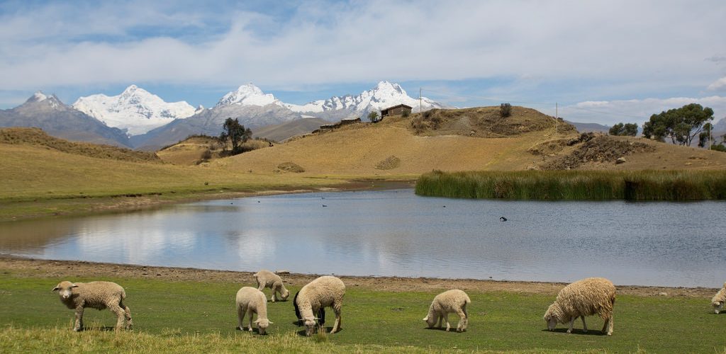 LagunaWilcacocha_2