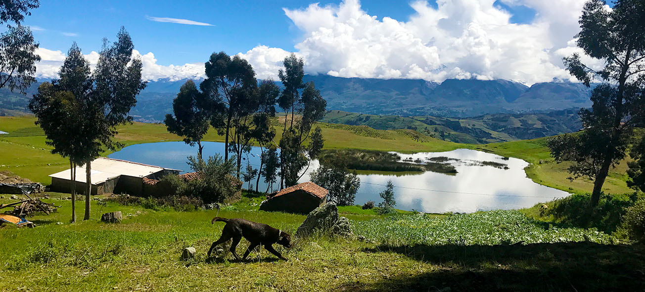 LagunaWilcacocha_4